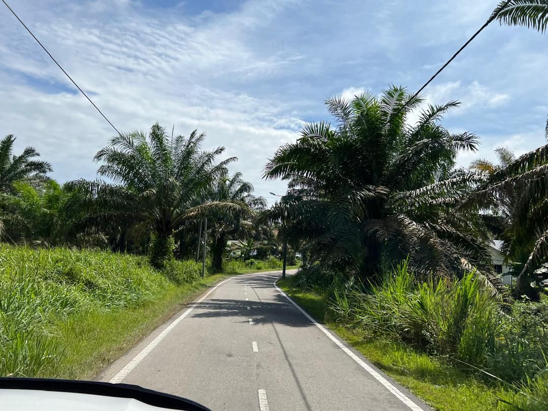 Simpang Renggam 6 Arce Kelapa Sawit Land For Sale