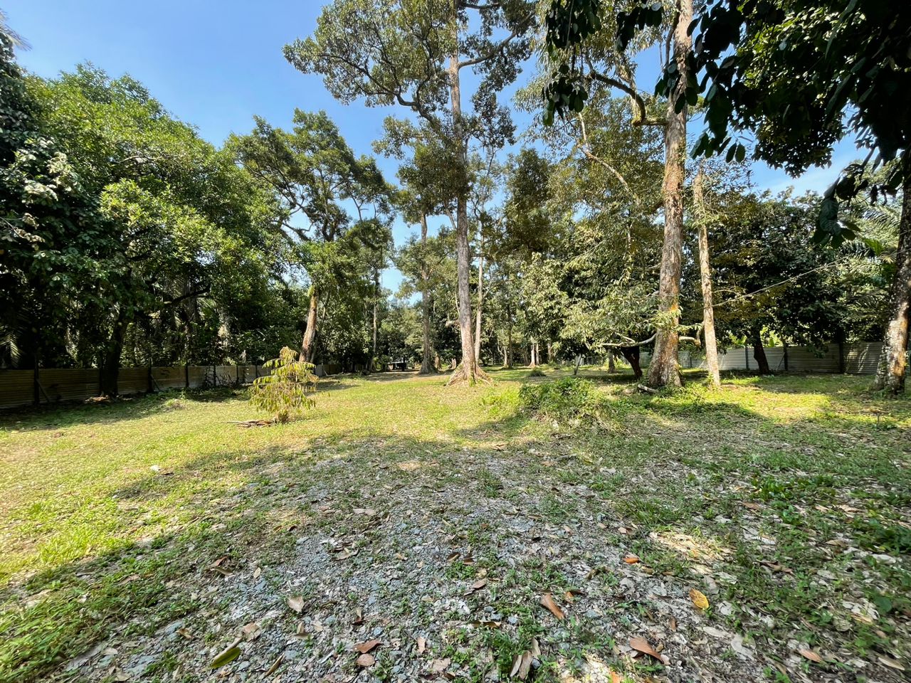 Pontian Agriculture Land For Sale